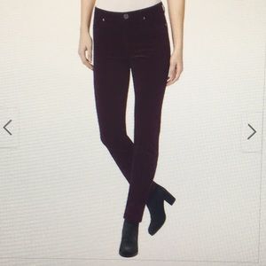 Buffalo David Bitton Wine Colored Cord Pant (8/29)